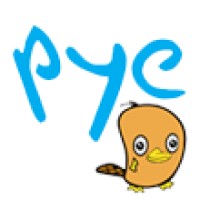 Pye Ai logo, Pye Ai contact details