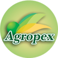 AGROPEX INTERNATIONAL SAC logo, AGROPEX INTERNATIONAL SAC contact details