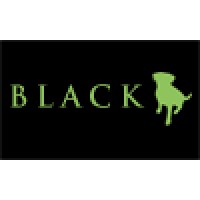 Black Dog Agency logo, Black Dog Agency contact details