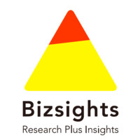 Bizsights logo, Bizsights contact details