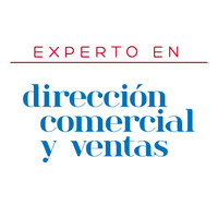 Experto en Dirección Comercial y Ventas logo, Experto en Dirección Comercial y Ventas contact details