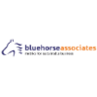 Bluehorse Associates logo, Bluehorse Associates contact details