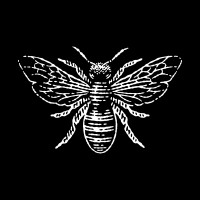 The Honey Hive Gallery logo, The Honey Hive Gallery contact details