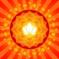 Lotus Holistic Medicine logo, Lotus Holistic Medicine contact details