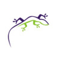 Grape Lizard logo, Grape Lizard contact details