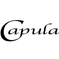 Capula Investment Management LLP logo, Capula Investment Management LLP contact details