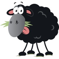 Black Sheep Utilities logo, Black Sheep Utilities contact details