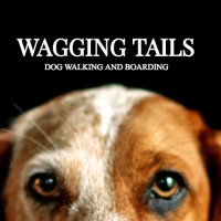 Wagging Tails Mtl logo, Wagging Tails Mtl contact details