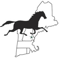 New England Equine Medical & Surgical Center logo, New England Equine Medical & Surgical Center contact details