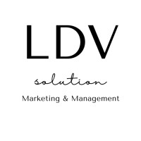 LDV Solution logo, LDV Solution contact details