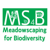 Meadowscaping for Biodiversity (MS4B) logo, Meadowscaping for Biodiversity (MS4B) contact details