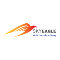 SkyEagle Aviation logo, SkyEagle Aviation contact details