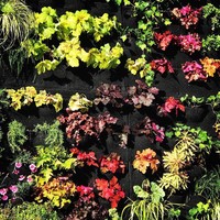 Vertical Vegetation Company logo, Vertical Vegetation Company contact details