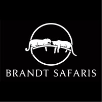 BRANDT SAFARIS LLC logo, BRANDT SAFARIS LLC contact details