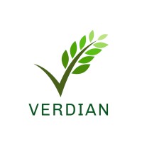 Verdian Consulting LLC logo, Verdian Consulting LLC contact details