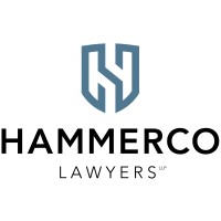 Hammerberg Lawyers LLP logo, Hammerberg Lawyers LLP contact details