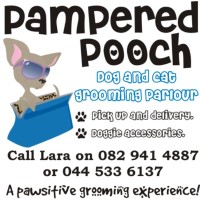 Pampered Pooch logo, Pampered Pooch contact details