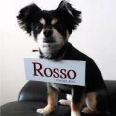 株式会社Rosso logo, 株式会社Rosso contact details