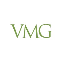 VMG - Vidaurri Management Group logo, VMG - Vidaurri Management Group contact details