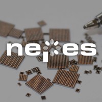 NEPES Corp. logo, NEPES Corp. contact details