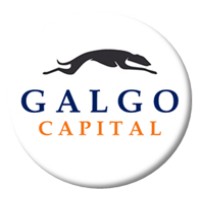 Galgo Capital SpA. logo, Galgo Capital SpA. contact details