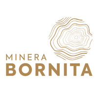 Minera Bornita logo, Minera Bornita contact details