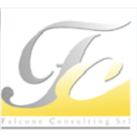 Falcone Consulting logo, Falcone Consulting contact details