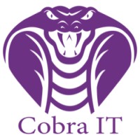 Cobra IT, LLC logo, Cobra IT, LLC contact details