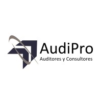 Auditores Profesionales logo, Auditores Profesionales contact details