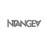 Intangea Advisors LLP logo, Intangea Advisors LLP contact details