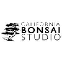 California Bonsai Studio logo, California Bonsai Studio contact details