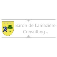 BdL Consulting SA logo, BdL Consulting SA contact details