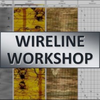 Wireline Workshop logo, Wireline Workshop contact details