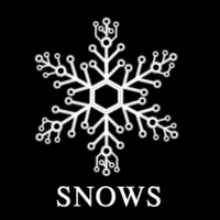 SNOWS Technology logo, SNOWS Technology contact details