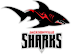 Jacksonville Sharks logo, Jacksonville Sharks contact details