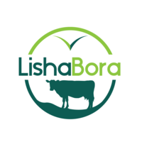 LishaBora logo, LishaBora contact details