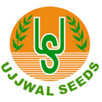 UJJWAL SEEDS PVT LTD logo, UJJWAL SEEDS PVT LTD contact details