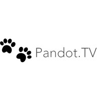 Pandot.tv logo, Pandot.tv contact details