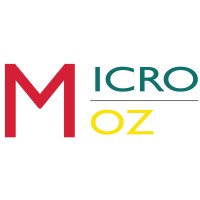 MicroMoz Investments logo, MicroMoz Investments contact details