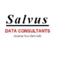 Salvus Data Consultants, L.L.C logo, Salvus Data Consultants, L.L.C contact details