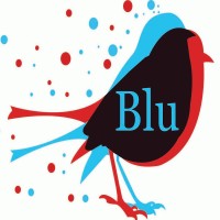 Blu Technology logo, Blu Technology contact details