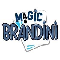 Balloon Twisting by Brandini logo, Balloon Twisting by Brandini contact details