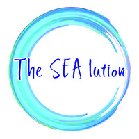 The SEAlution logo, The SEAlution contact details