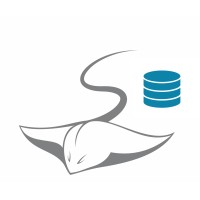 Stingrae Database Services logo, Stingrae Database Services contact details