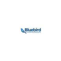 Bluebird Consulting Solutions logo, Bluebird Consulting Solutions contact details