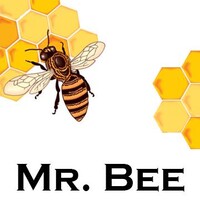 Mr. BEE logo, Mr. BEE contact details