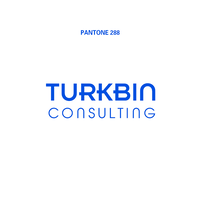 Turkbin Consulting logo, Turkbin Consulting contact details