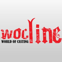 Wocline Danışmanlık logo, Wocline Danışmanlık contact details