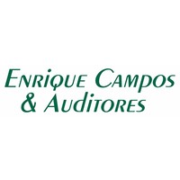 Enrique Campos & Auditores logo, Enrique Campos & Auditores contact details