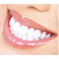 Sand Lane Dental PC logo, Sand Lane Dental PC contact details